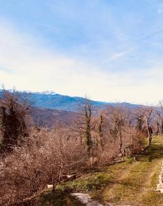 MonteseにあるAlloggio in vetta alla montagnaのギャラリーの写真