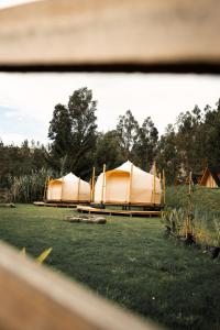 Zahrada ubytování Hawkay Glamping