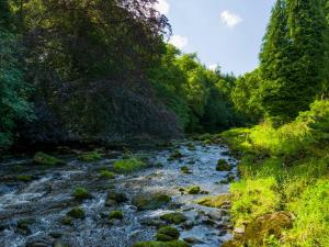 Loodusmaastik puhkemaja lähedal +3 fotot