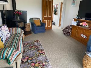 a living room with a couch and a tv at Wee Blue BnB- Central Cosy Villa in Timaru