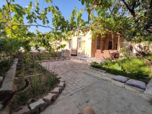 a cat walking in front of a house at Acan Apart günlük kiralık ev Ürgüp in Ürgüp