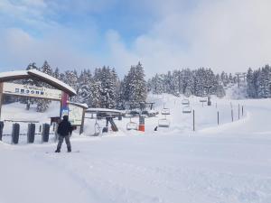 尚魯斯的住宿－L'Après-ski Chamrousse 1700，滑雪缆车上的人