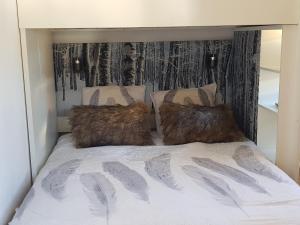 尚魯斯的住宿－L'Après-ski Chamrousse 1700，床上有2个枕头