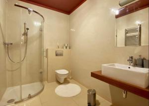 Bilik mandi di Apartment with beautiful view of High Tatras
