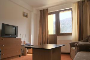 a living room with a couch and a table and a television at Flora Alpina in Azuga