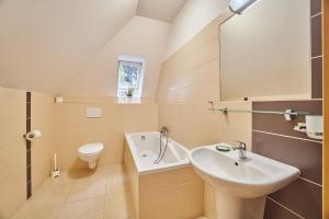 a bathroom with a sink and a toilet at Pension Valja in Janske Lazne