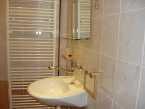 a bathroom with a sink and a mirror at Apartments - Penzion Lena in Hradec Králové