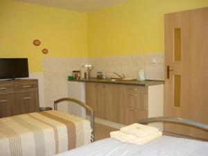 ein Krankenhauszimmer mit einem Bett und einer Küche in der Unterkunft Apartments - Penzion Lena in Hradec Králové