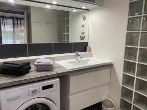 a bathroom with a washing machine and a sink at Le Ticolibri 1064 Anse des Rochers villa hibiscus in Courcelles Sucrerie +16 photos