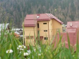 une maison jaune avec des toits rouges dans un village dans l'établissement Flora Alpina, à Azuga