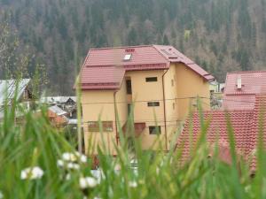 uma casa amarela com telhados vermelhos numa aldeia em Flora Alpina em Azuga