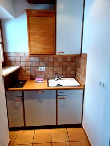 eine Küche mit Spüle und Arbeitsplatte in der Unterkunft Gästehaus Gritscher in Josefsthal + 16 Fotos