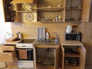 una pequeña cocina con fregadero y microondas en Turistický apartmánový domček Runina 11, en Runina