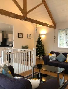 ein Wohnzimmer mit Sofas und einem Weihnachtsbaum in der Unterkunft 8 Oakridge, St Mellion in St Mellion