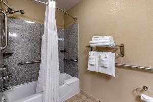 Koupelna v ubytování Comfort Suites