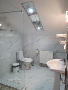 a bathroom with a toilet and a sink and a mirror at Motel Davios in Târgu Jiu +44 photos