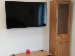 TV a/nebo společenská místnost v ubytování Ferienwohnung flussendlich