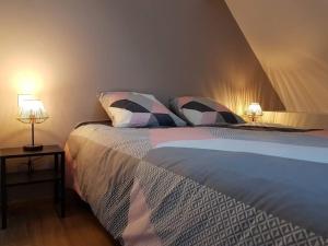 Un dormitorio con una cama grande con dos lámparas. en Gite du Cours St Mauris Authentique et moderne, en Dole