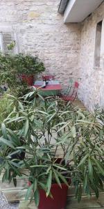 a group of potted plants in front of a building at Gite du Cours St Mauris Authentique et moderne in Dole