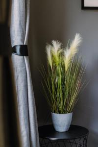 uma planta em vasos sentada numa mesa ao lado de uma cortina em RelaxingSleep Apartments em Glasgow