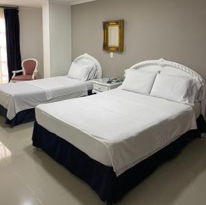 Postel nebo postele na pokoji v ubytování Hotel Suite Santa Rosa