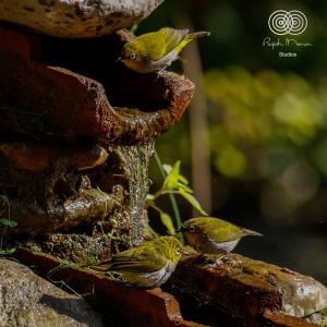 兰纳加Corbett Nature Retreat的相册照片
