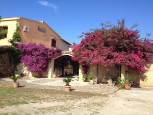 twee bomen met roze bloemen voor een gebouw bij Il Ruscello in SantʼAnna Arresi