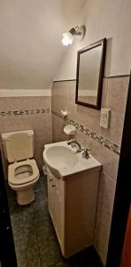 a bathroom with a toilet and a sink and a mirror at Duplex Boulevard D in Viedma