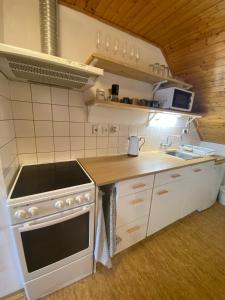 Ubytko Ivkoにあるキッチンまたは簡易キッチン