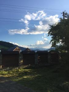 a log cabin with mountains in the background at Приватний котедж «Наш Черемош», с.Ільці in Iltsi
