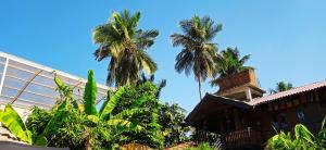 Zahrada ubytování Negombo The Nature Villa and Cabanas