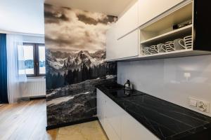 Küche/Küchenzeile in der Unterkunft Przystanek Babia Apartamenty