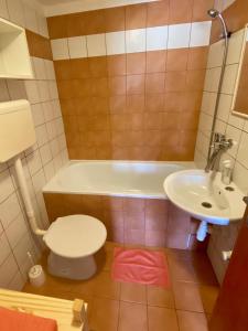 uma casa de banho com uma banheira, um WC e um lavatório. em Apartmán Ivko em Letohrad