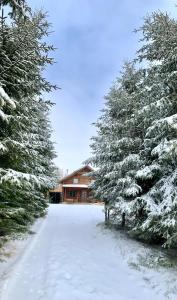 two trees are covered in snow in front of a house at Cabana Lupilor in Tău Bistra