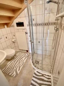 uma casa de banho com um chuveiro e um WC. em 19 Im Herrenfeld em Burgen
