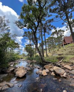 a creek with rocks and trees and a house at URUBICI - Cabana da Montanha in Mundo Novo