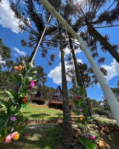 a view of a cabin from the garden with flowers at URUBICI - Cabana da Montanha in Mundo Novo