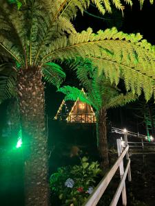 a house with palm trees and a green light at URUBICI - Cabana da Montanha in Mundo Novo