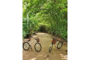 two bikes parked on a dirt road with trees at Vila do Porto, Praia do Patacho - Bangalô Toque in Pôrto de Pedras