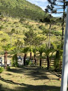 a garden with palm trees and a hill in the background at URUBICI - Cabana da Montanha in Mundo Novo