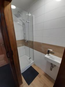 a bathroom with a shower and a sink at Na wierchu in Ząb