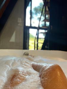 a piece of bread sitting on top of a table at URUBICI - Cabana da Montanha in Mundo Novo