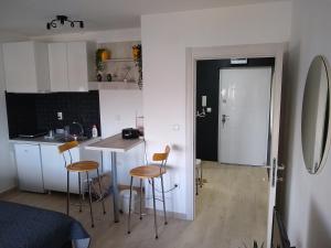Kuchyň nebo kuchyňský kout v ubytování Apartman_Park