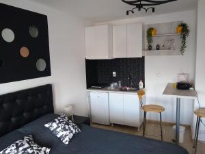 Kuchyň nebo kuchyňský kout v ubytování Apartman_Park