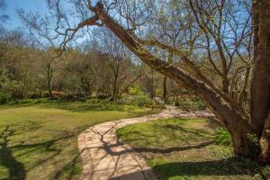 a dirt path through a park with a tree at Riverdance in Komnader