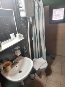 a bathroom with a sink and a toilet and a shower at Mala koliba Dolina mira in Pale