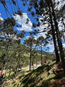 a path through the trees on the side of a hill at URUBICI - Cabana da Montanha in Mundo Novo