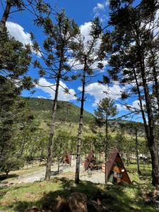 a cabin in the woods with trees at URUBICI - Cabana da Montanha in Mundo Novo