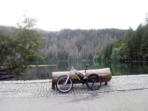 Fotografia z galérie ubytovania Alm-House HOLLMANN v destinácii Železná Ruda