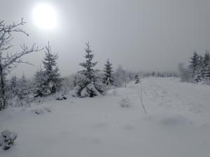 Fotografia z galérie ubytovania Alm-House HOLLMANN v destinácii Železná Ruda